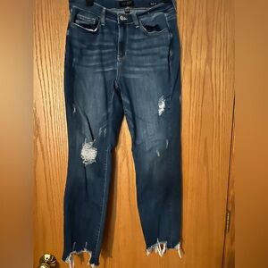Judy Blue slim fit size 9/29